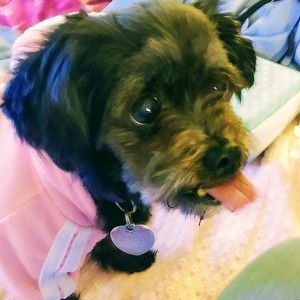 Fundraising Page: Jenifer Perry